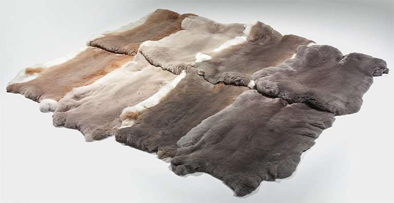 Rabbit skins produced in Europe with traceability